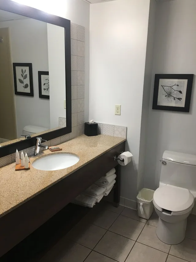 1 Bedroom, Suite, King Bed, Sofa, Country Inn & Suites By Radisson Grand Rapids East Mi 4/4