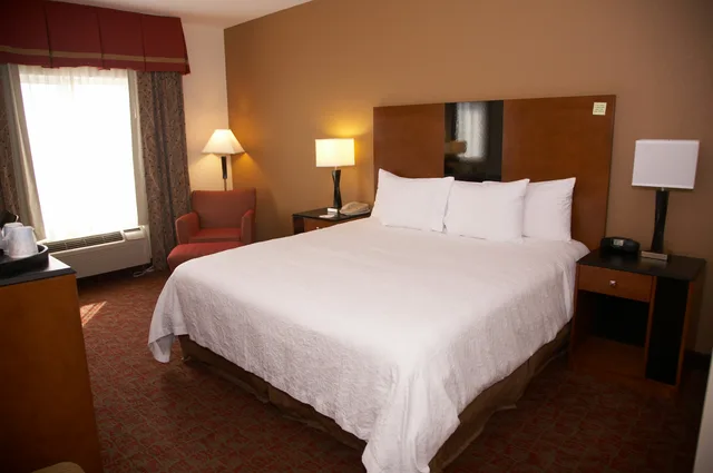 غرفة بسرير كينج، Hampton Inn and Suites Hobbs 1/2