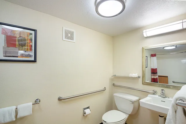 Deluxe, King Bed, Accessible, Red Roof Inn Madison 4/4