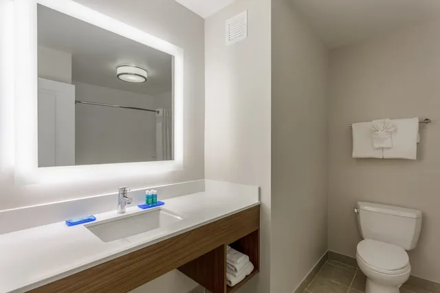 غرفة قياسية بسرير فردي، Holiday Inn Express Hotel And Suites Vandalia 1/3