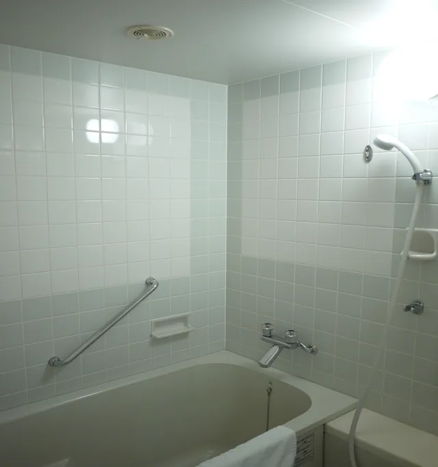 غرفة ديلوكس ثلاثية لغير المدخنين، Hotel Mystays Premier Sapporo Park 3/3