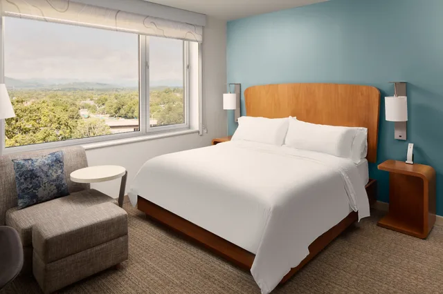 Standard, King Bed, Accessible, Element Asheville Downtown 2/10