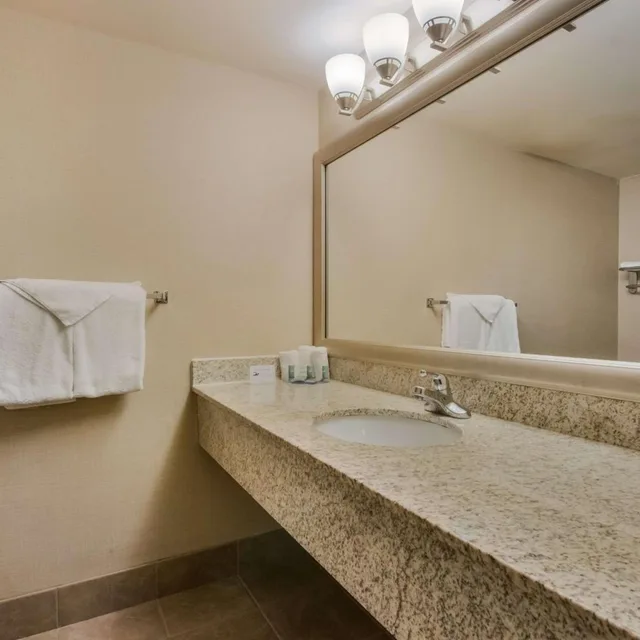 Room, Double Bed, Accessible, Best Western Brantford Hotel Conference Centre 9/10