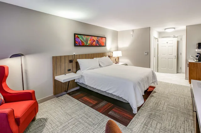 Evolution, King Bed, Hilton Garden Inn Ames 4/10