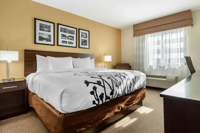 غرفة قياسية بسرير كينج، Sleep Inn & Suites Devils Lake, ND 4/10