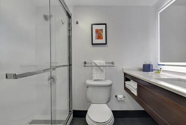 غرفة قياسية بسرير كينج لذوي الإعاقة، HOLIDAY INN PHILADELPHIA-CHERRY HILL 1/2