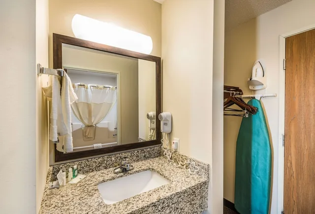 غرفة قياسية بسرير كينج، Quality Inn & Suites Eldridge Davenport North 5/7