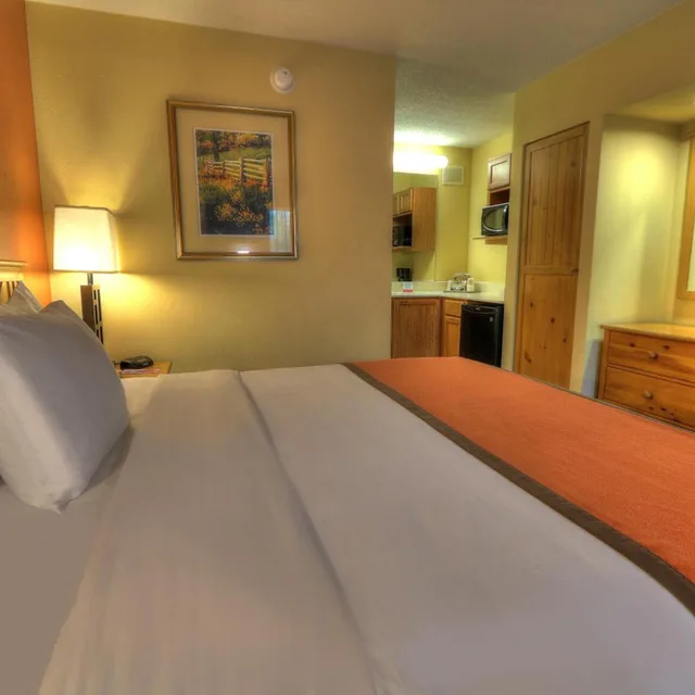 Room, King Bed, City View, Accessible, Econo Lodge Pigeon Forge Riverside 6/7