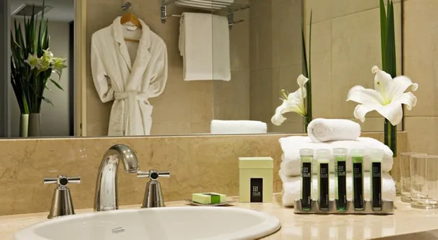 جناح جونيور، Hotel Madero, WorldHotels Elite 2/2
