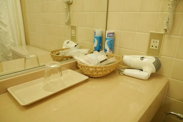 غرفة ديلوكس مفردة للمدخنين، Rembrandt Hotel Atsugi 10/11