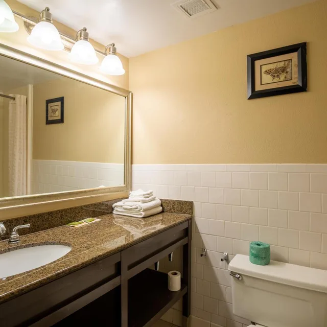 Deluxe, Double Bed, Rodeway Inn 8/8