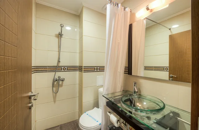 غرفة قياسية بسرير مزدوج، MPM Family Hotel Merryan 8/9