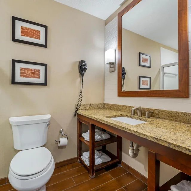 جناح بسريرين كوين مع أريكة، Comfort Inn & Suites Triadelphia - Wheeling 5/5