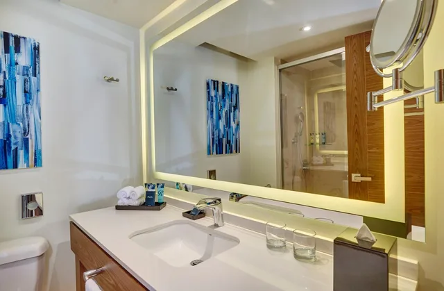 1 Bedroom, Diamond Club, Presidential, Luxury, Suite, Ocean View، Royalton Grenada, an Autograph Collection All-Inclusive Resort 8/9
