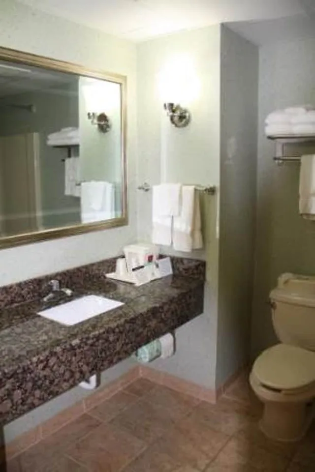 غرفة بسريرين كوين يُسمح فيها بالحيوانات الأليفة، Comfort Suites Hagerstown Southeast 3/3