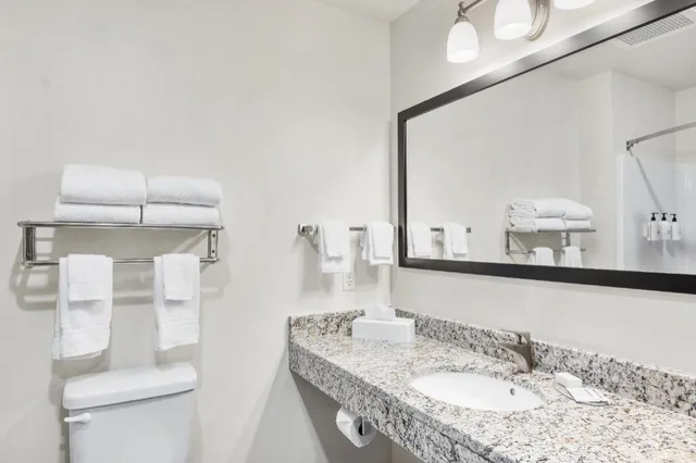 استوديو مفردة بسرير كينج، Cobblestone Hotel & Suites - Denmark 4/4