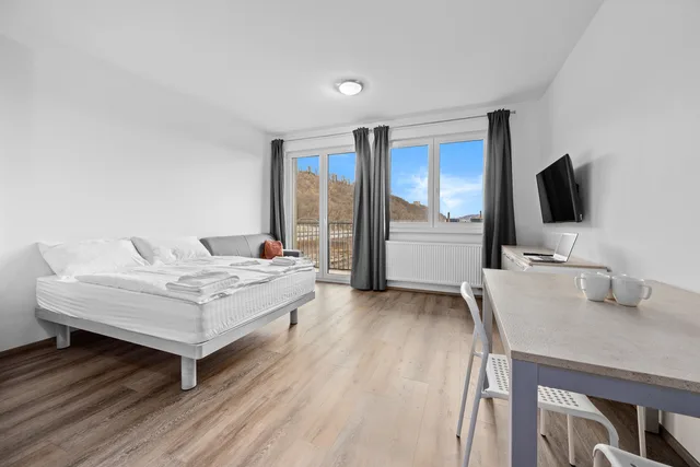 Studio apartment for 2 persons with balcony، Prague City Residence 1/8