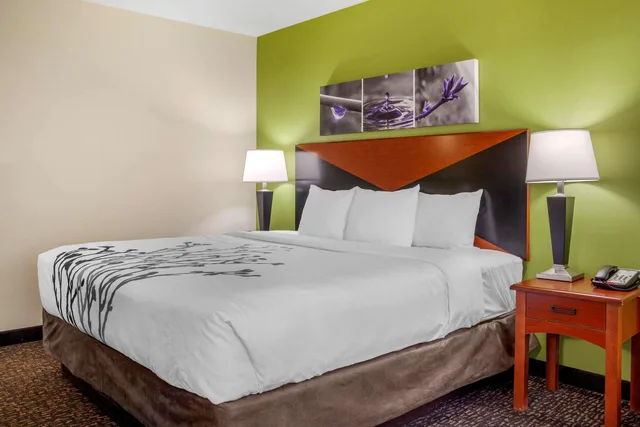 جناح بسرير كينج لذوي الإعاقة، Sleep Inn and Suites Airport Milwaukee WI 1/1