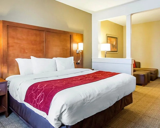جناح بسرير كينج مع أريكة، Comfort Suites Abilene TX 1/2