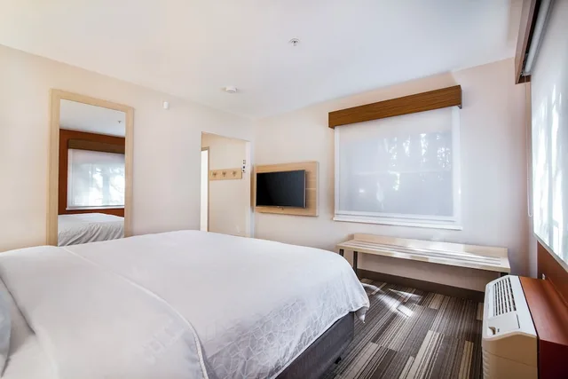جناح بسرير كينج مع أريكة، Holiday Inn Express Suites Langley 1/4