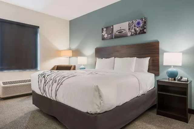 غرفة بسرير كينج بحوض استحمام لذوي الإعاقة، Sleep Inn & Suites Webb City 1/7