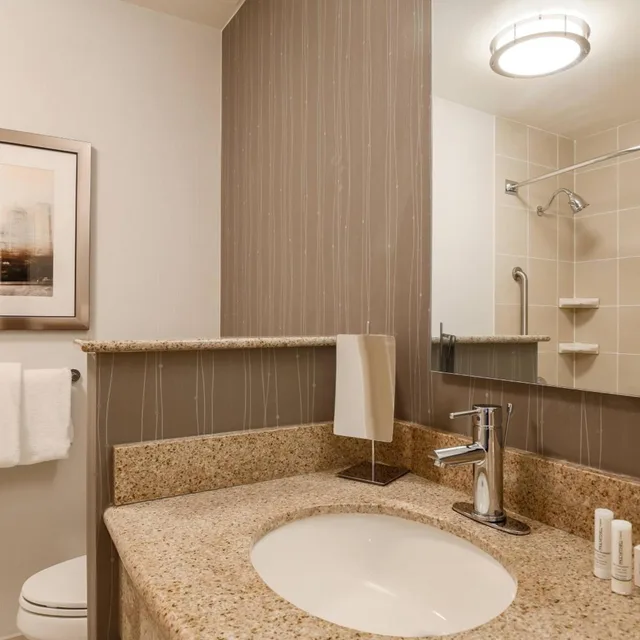 Room, Queen Bed, City View, Courtyard by Marriott Pittsburgh Downtown 4/8