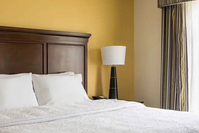 جناح استوديو بسرير كينج، Hampton Inn & Suites Philadelphia Montgomeryville 1/2
