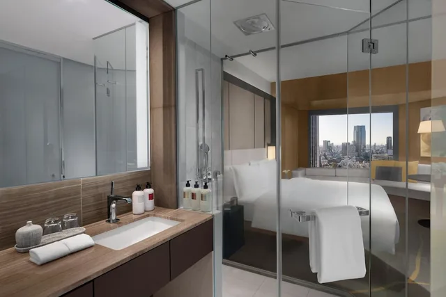 Premium, Twin Beds, Club Lounge Access, Ana Intercontinental Tokyo 5/6