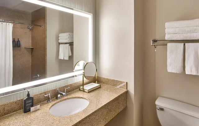 غرفة كبيرة بسرير كينج، Sheraton Birmingham 8/10