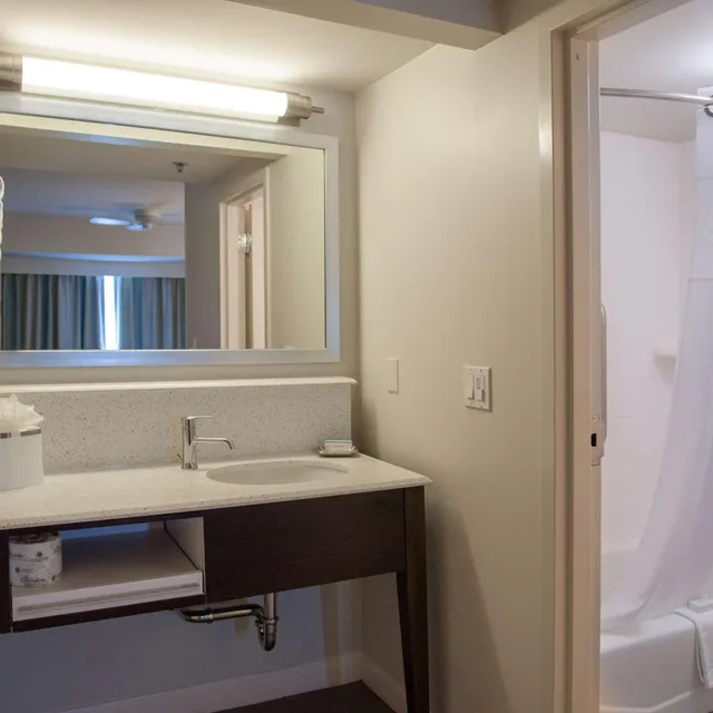1 Bedroom, Suite, King Bed, Sofa, Hampton Inn & Suites New Orleans-Elmwood/Clearview Parkway Area 4/4