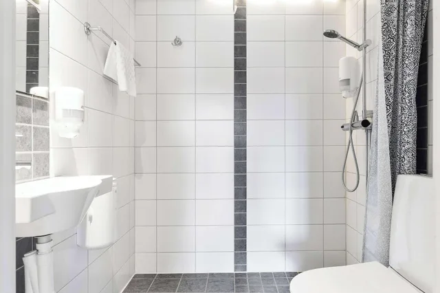 Standard, Single, Twin Beds, Murphy Bed، Best Western Uppsala 3/3