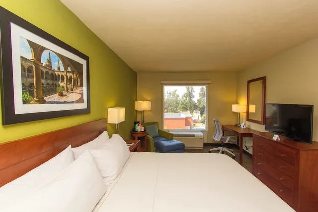 Standard, King Bed, Central Building، Holiday Inn Express Guadalajara Aeropuerto an IHG Hotel 1/10