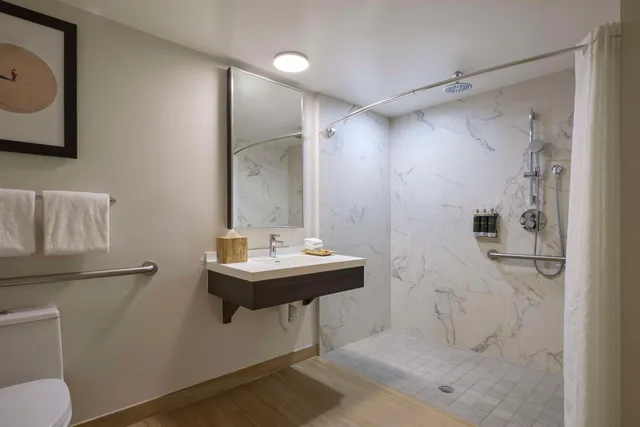 غرفة ديلوكس بسرير كينج لذوي الإعاقة، Hyatt Centric South Beach Miami 2/2