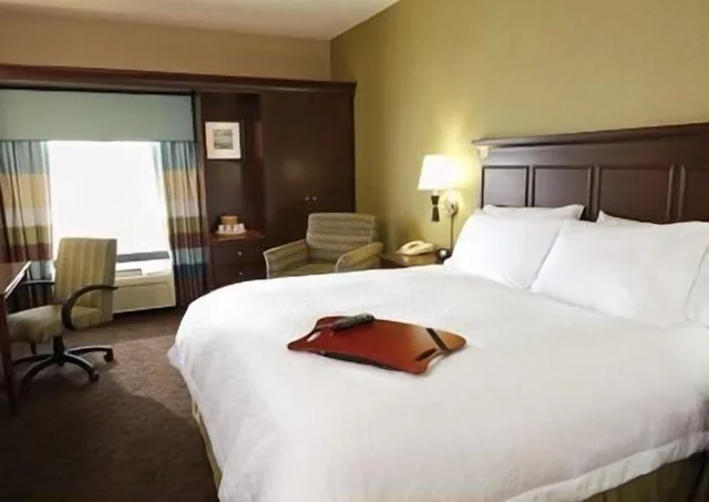 استوديو بسرير كينج مع أريكة لذوي الإعاقة، Hampton Inn and Suites Artesia 2/4