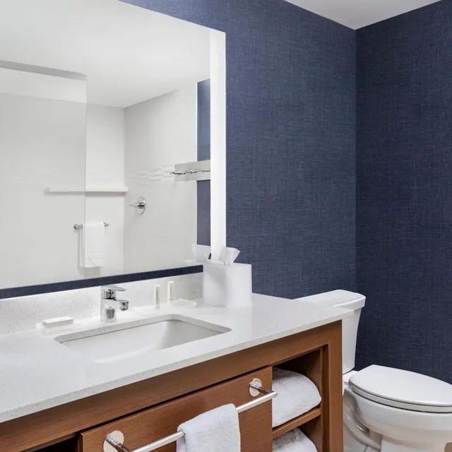 جناح بسرير كينج بغرفة نوم واحدة مع أريكة، Residence Inn by Marriott Rehoboth Beach 4/4