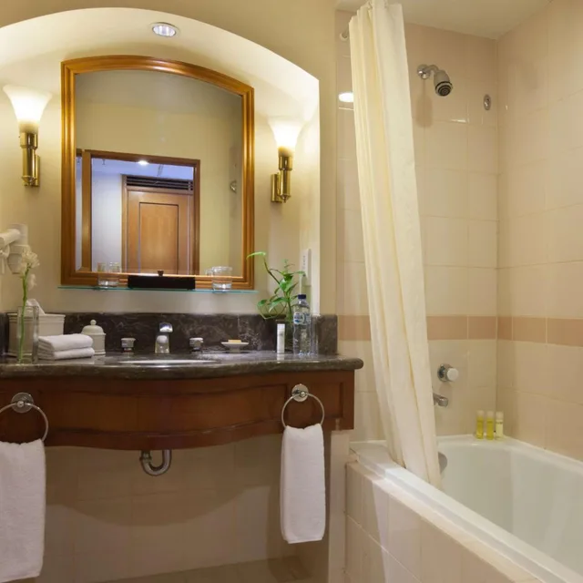غرفة ديلوكس بسرير كينج بشرفة، Hyatt Regency Yogyakarta 4/4