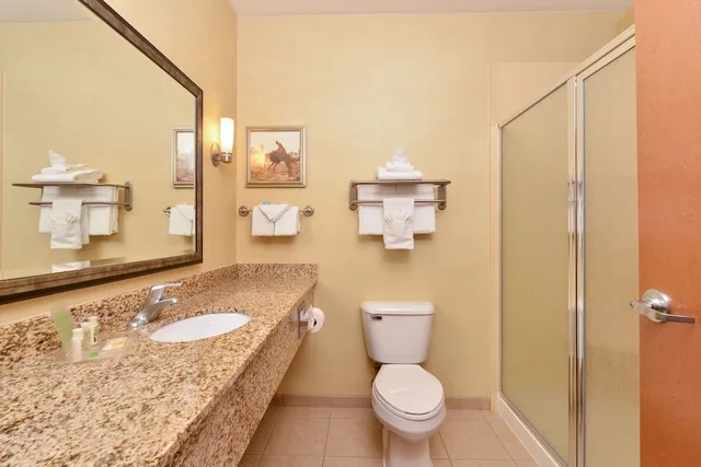 غرفة قياسية بسرير كينج، Holiday Inn Laramie 6/8