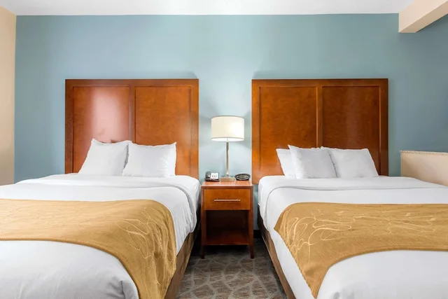 جناح بسريرين كوين، Comfort Suites Southport - Oak Island 3/4