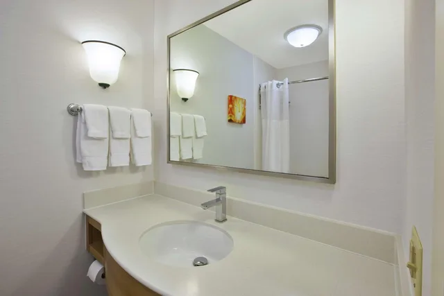 غرفة ديلوكس بسرير كينج وسريرين كوين بإطلالة على البحيرة، Hilton Garden Inn Wichita Hotel 7/9