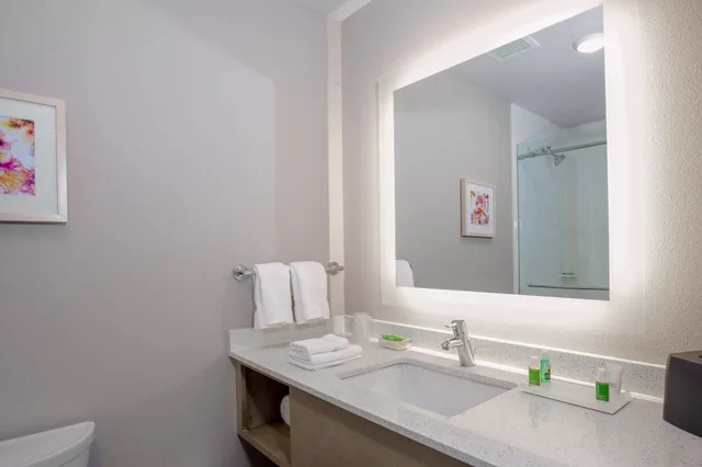 Standard, Multiple Beds, Extra Floor Space, Bathtub، Holiday Inn Tallahassee E Capitol - Univ 2/3