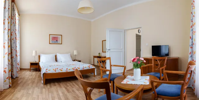 غرفة بسرير مزدوج بإطلالة على المدينة، Orion Hotel Prague 1/2