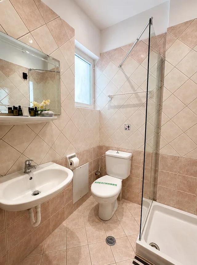 غرفة قياسية مفردة، Acropole Delphi Hotel 4/7
