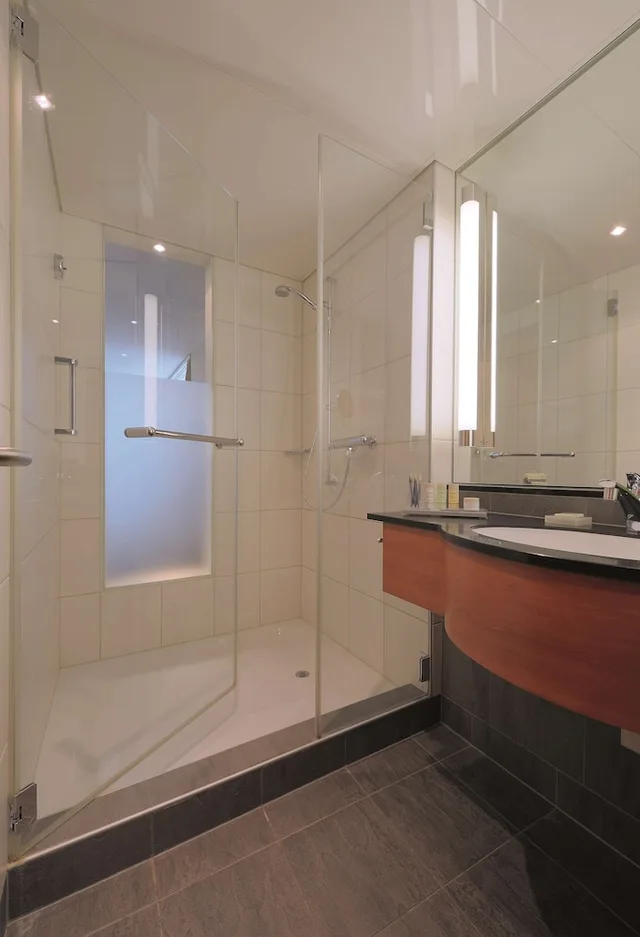 غرفة قياسية، Radisson Blu Hotel St Gallen 4/4