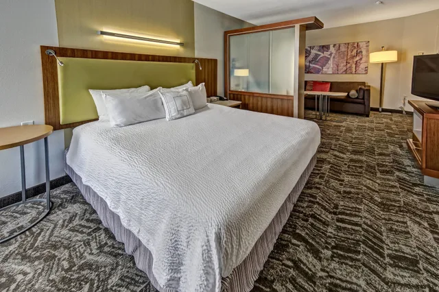 Studio, King Bed, Sofa, SpringHill Suites by Marriott Oklahoma City Moore 1/2
