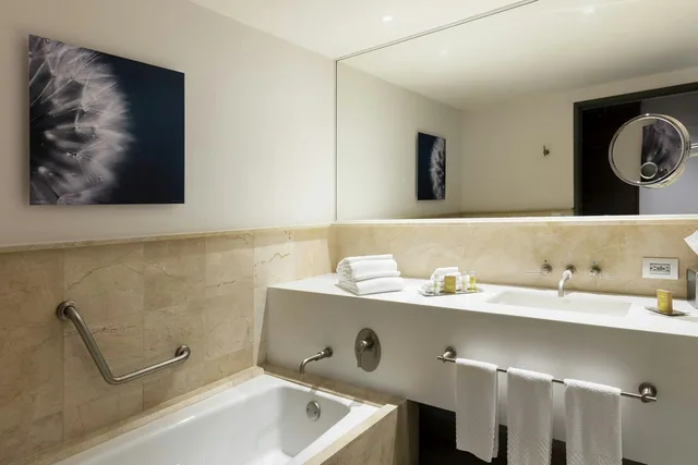 غرفة بسريرين مزدوجين لذوي الإعاقة، DoubleTree by Hilton Hotel Mexico City Santa Fe 4/4