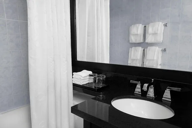 Guest Room, Queen Bed, Sheraton Fallsview Hotel 5/8