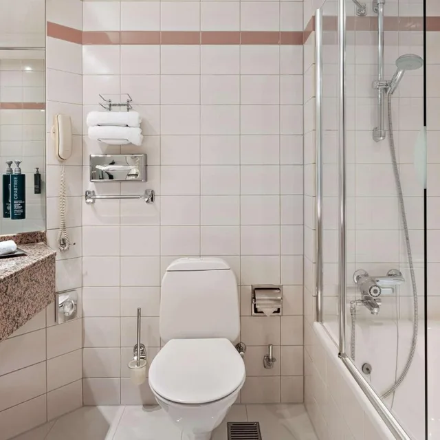 غرفة تنفيذية بسرير فردي، Hilton Dresden 8/8
