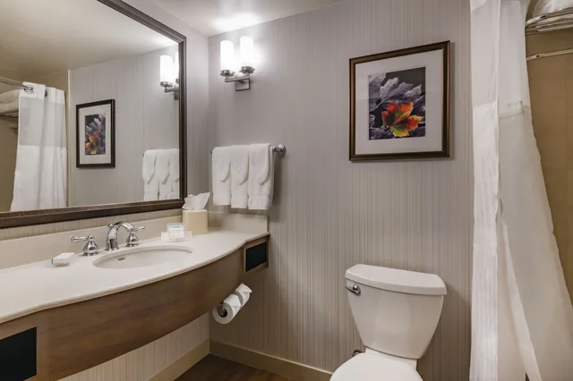 غرفة بسرير كينج بغرفة نوم واحدة لذوي الإعاقة، Hilton Garden Inn Devens Common 4/5