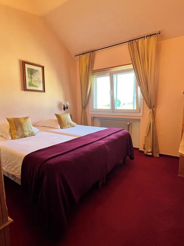 غرفة كومفورت بسريرين منفصلين، LOGIS HOTEL DES ROCHES 8/10