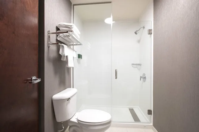 Studio, 2 Queen Beds, Springhill Suites Savannah I-95 South 5/10